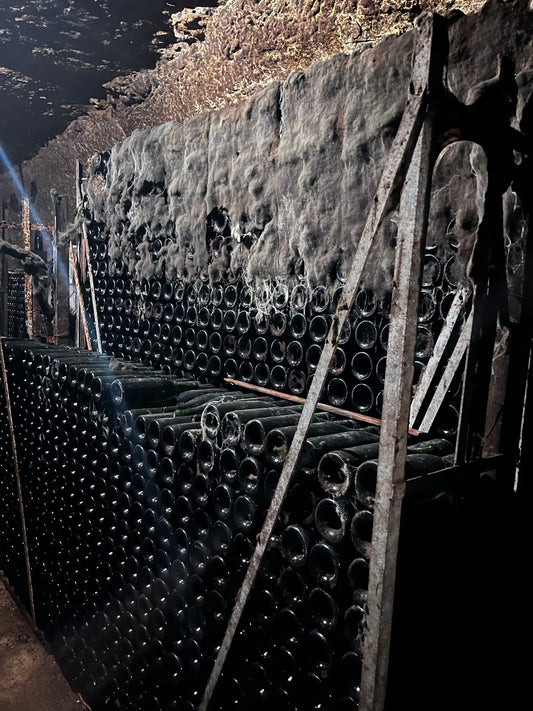 5 storage tips to get the most out of your wine