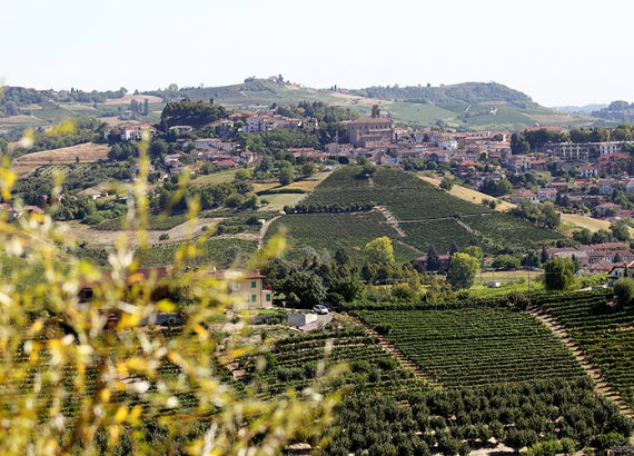 Cecilia Monte 2020 Barbaresco DOCG "San Giuliano" 750mL