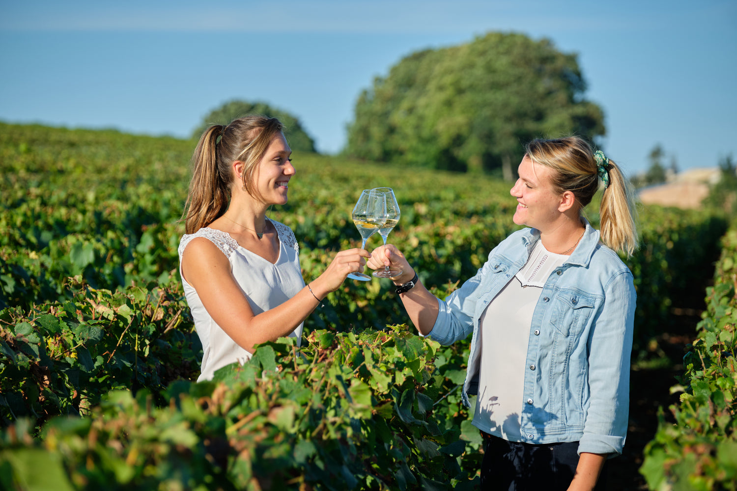 Two women in a vineyard clinking wine glasses with a scenic background