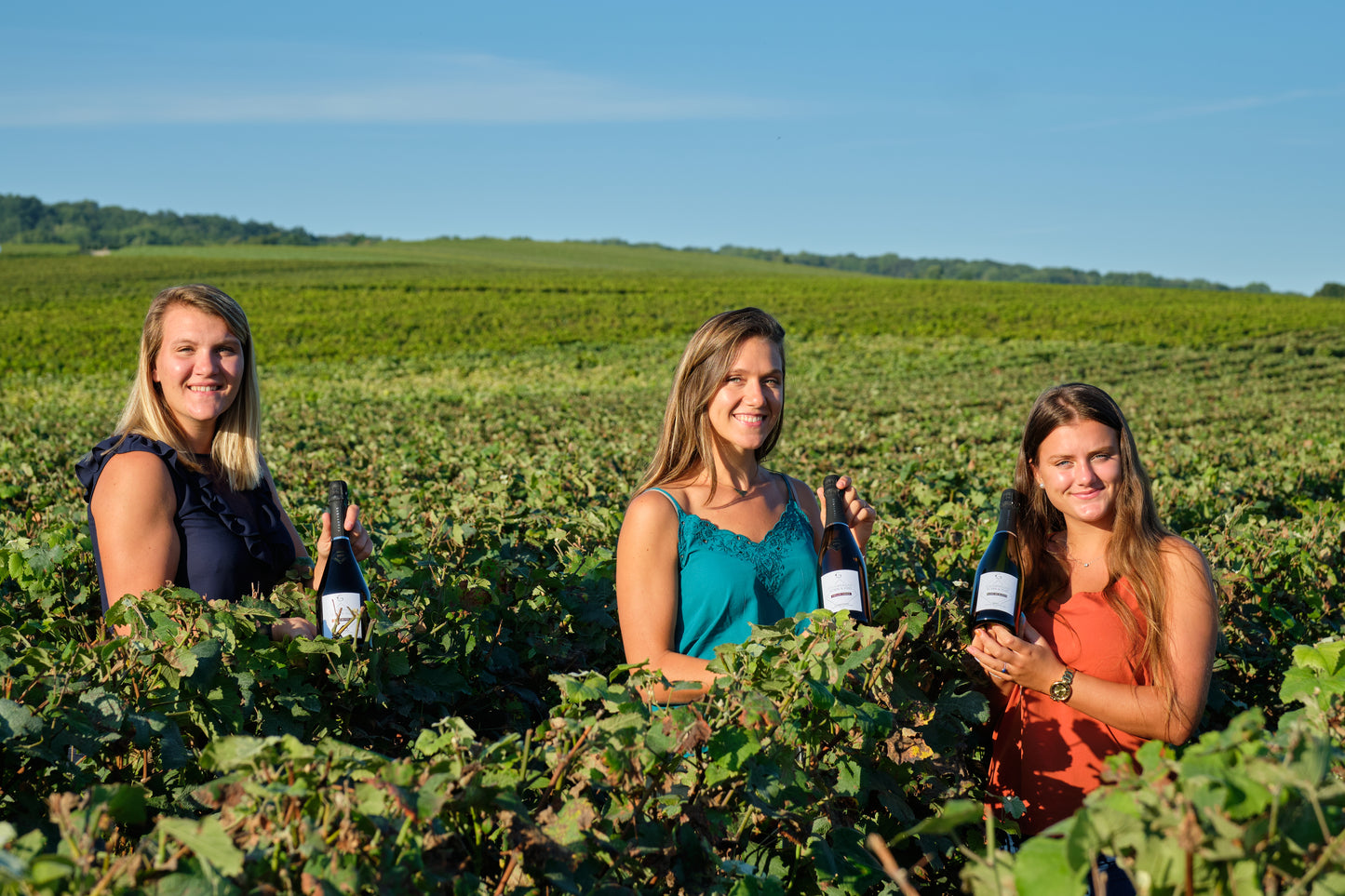 Champagne Godin et Filles 2014 Vieilles Vignes 750mL