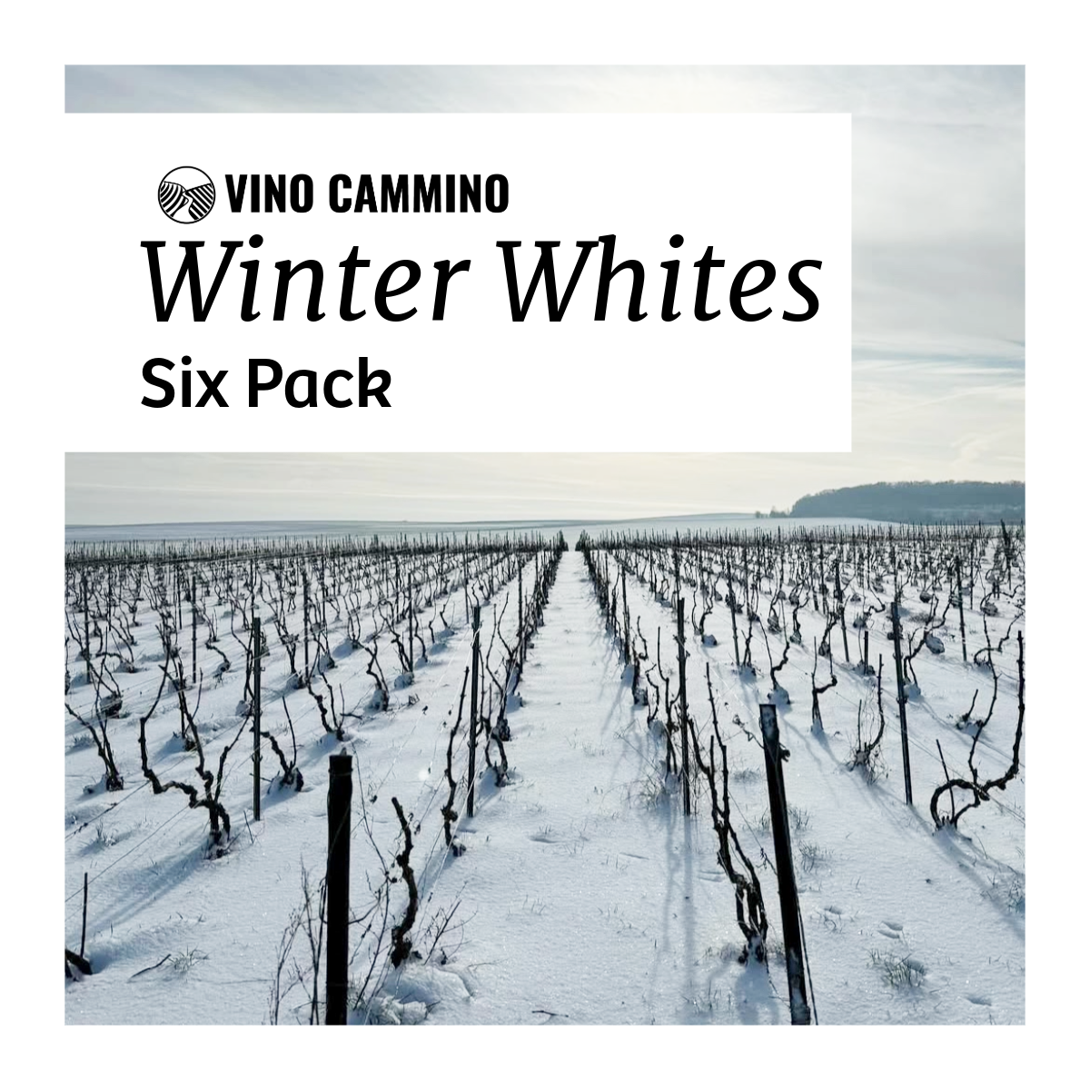 Winter Whites 6 Pack