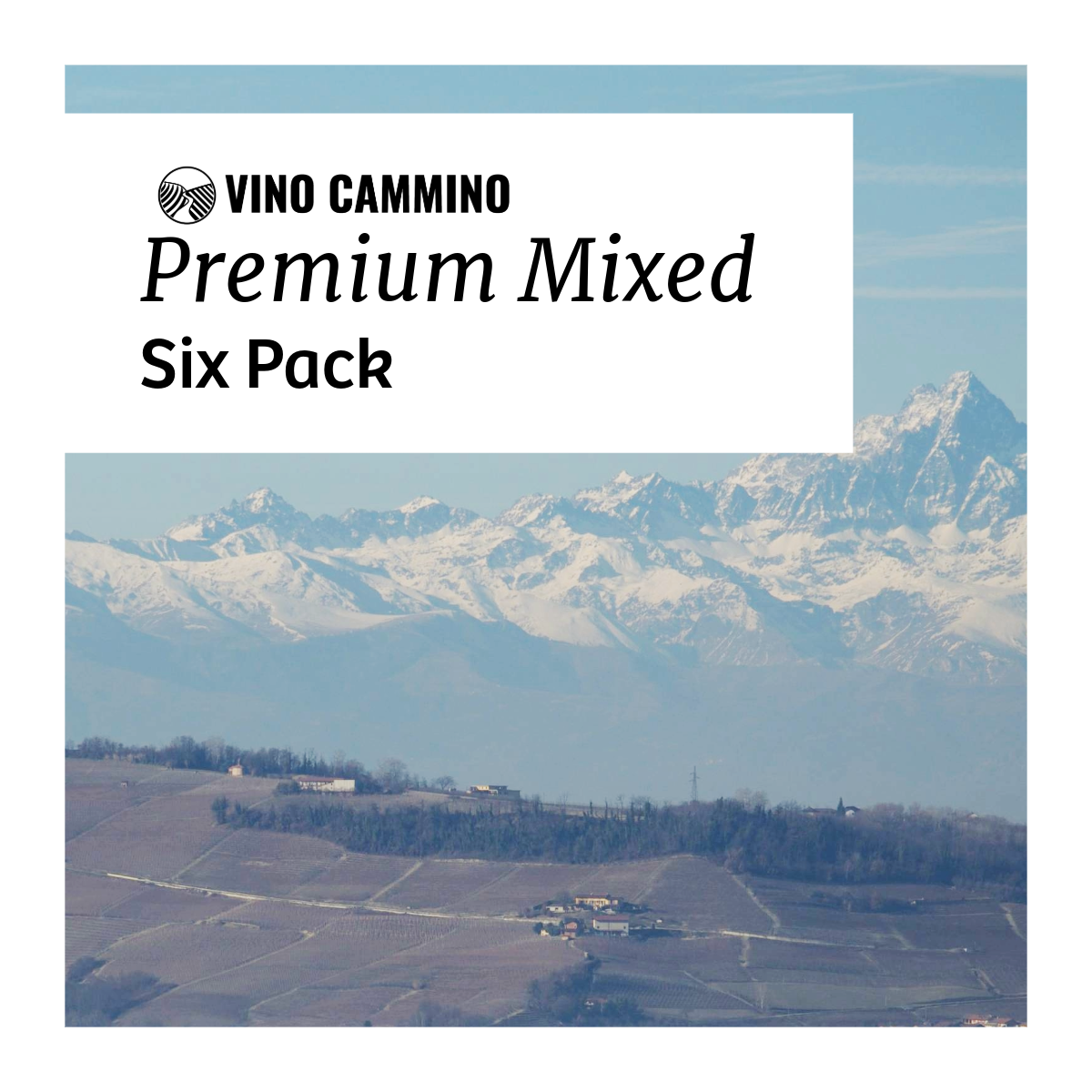 Premium Mixed 6 Pack