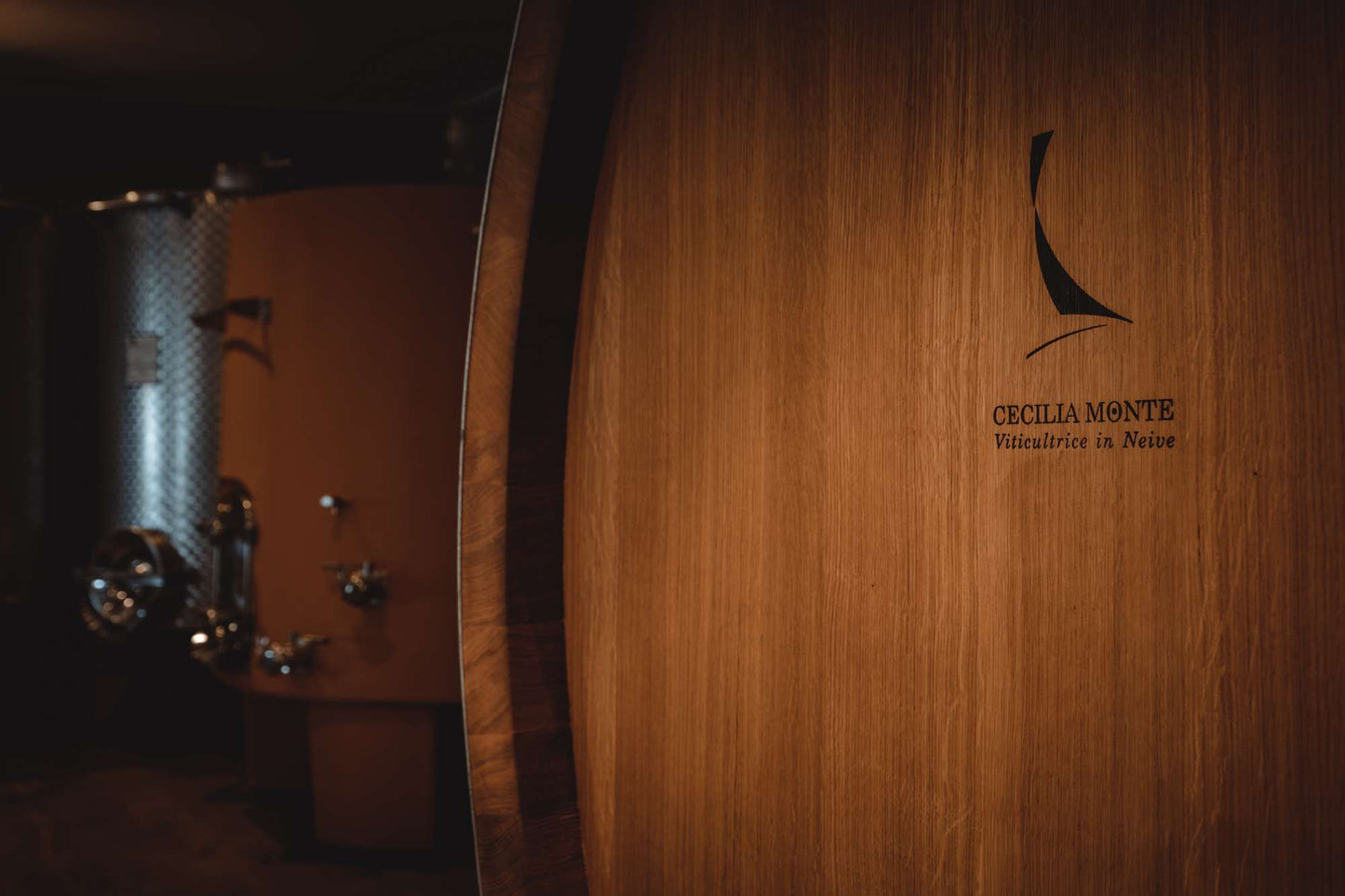 Cecilia Monte 2019 Barbaresco DOCG "Dedicato a Paolo" 750mL