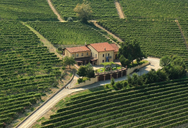 The best Barolo to buy in Australia (from a small grower)