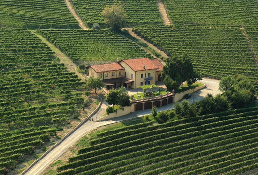 The best Barolo to buy in Australia (from a small grower)