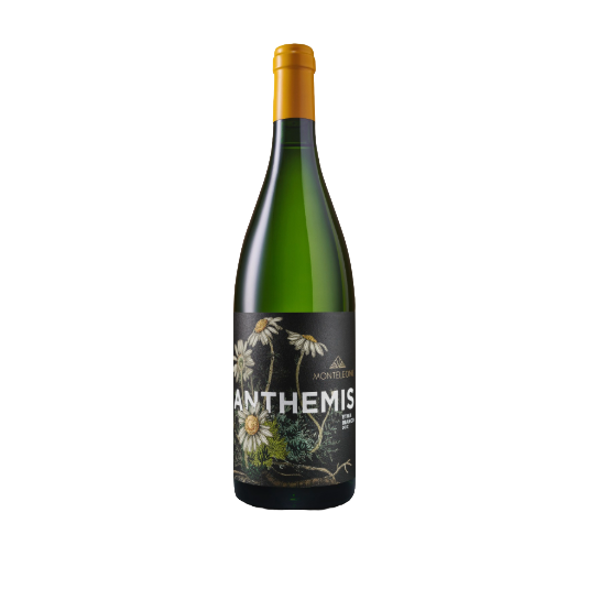 Monteleone 2023 Etna Bianco Anthemis 2x1500mL (Magnum 2 pack)